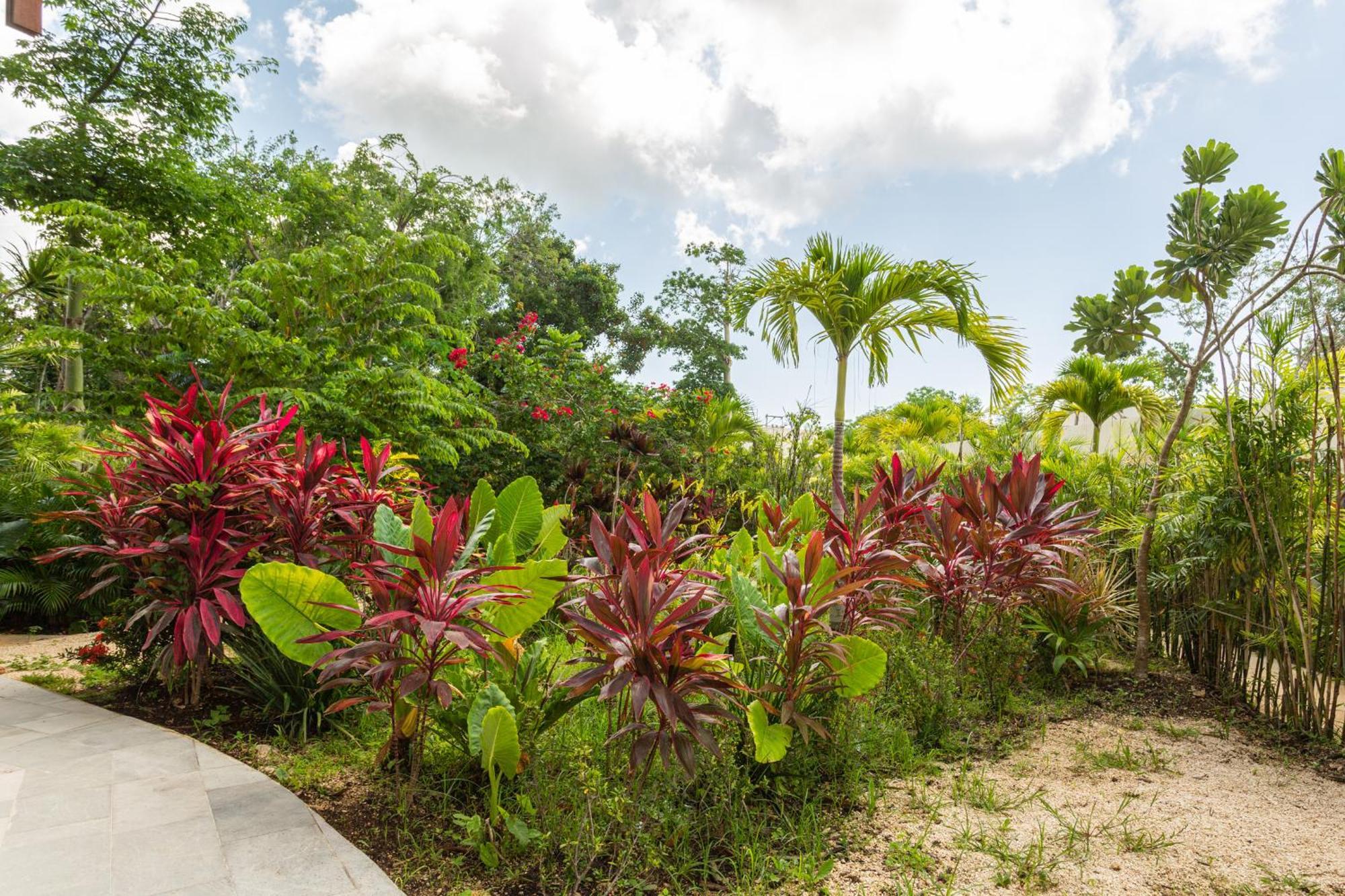 Mistiq Gardens Tulum Quarto foto